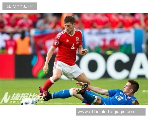 塞尔维亚与威尔士精彩对决全场录像回放及精彩瞬间分析