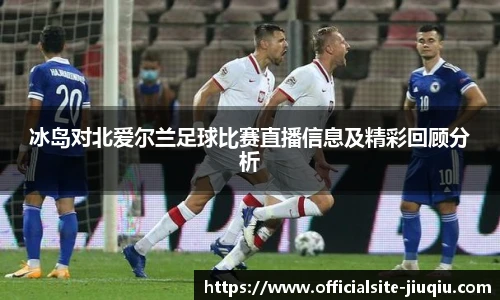 冰岛对北爱尔兰足球比赛直播信息及精彩回顾分析